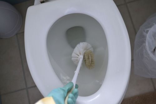 cleaning bathroom toilet with a brush